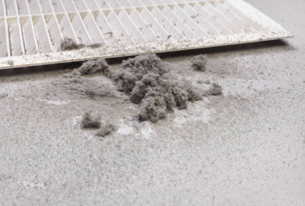 Best Commercial Air Duct Cleaning  in Lathrop, MO
