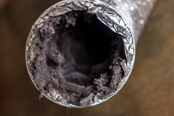 Best HVAC System Cleaning  in Lathrop, MO