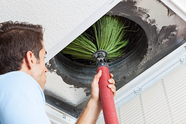 Best Air Duct Mold Removal  in Lathrop, MO
